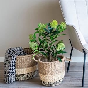 Jeté de canapé noir & blanc – motif pied-de-poule FALLON